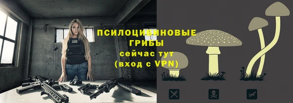 прущие грибы Абдулино