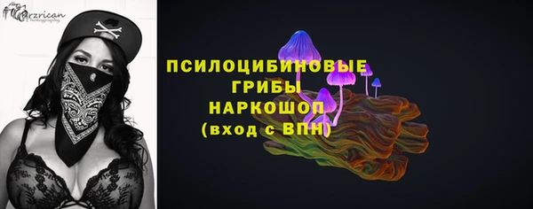 ешки Абаза