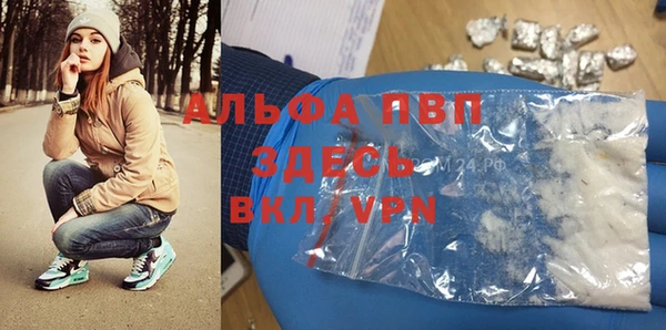 прущие грибы Абдулино