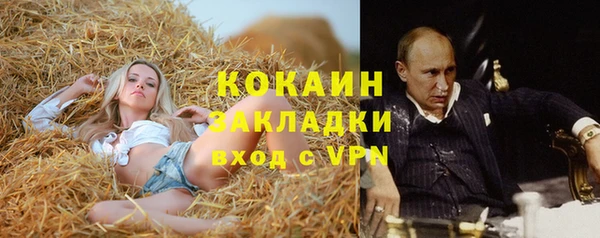 прущие грибы Абдулино