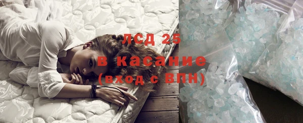 прущие грибы Абдулино