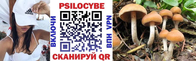 Галлюциногенные грибы Magic Shrooms  купить наркотик  Темников 